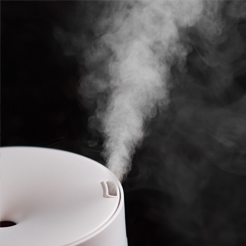 Nem Alıcılar ve Hava Temizleyiciler