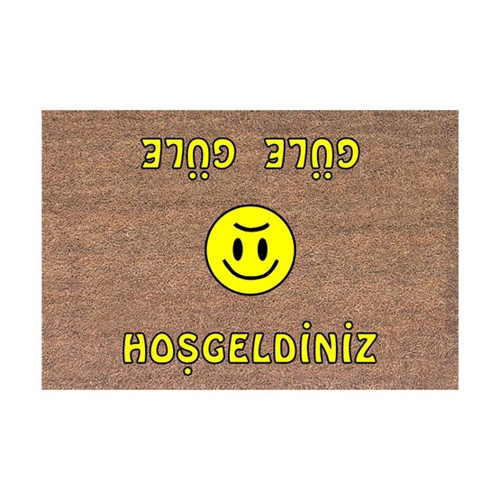 Desan Dikdörtgen 40x60 cm Pvc Koko Flok Paspas Çok Renkli