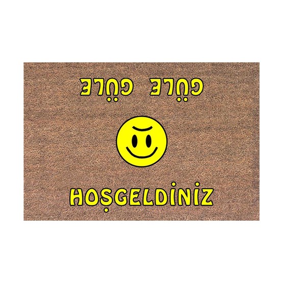 Desan Dikdörtgen 40x60 cm Pvc Koko Flok Paspas Çok Renkli