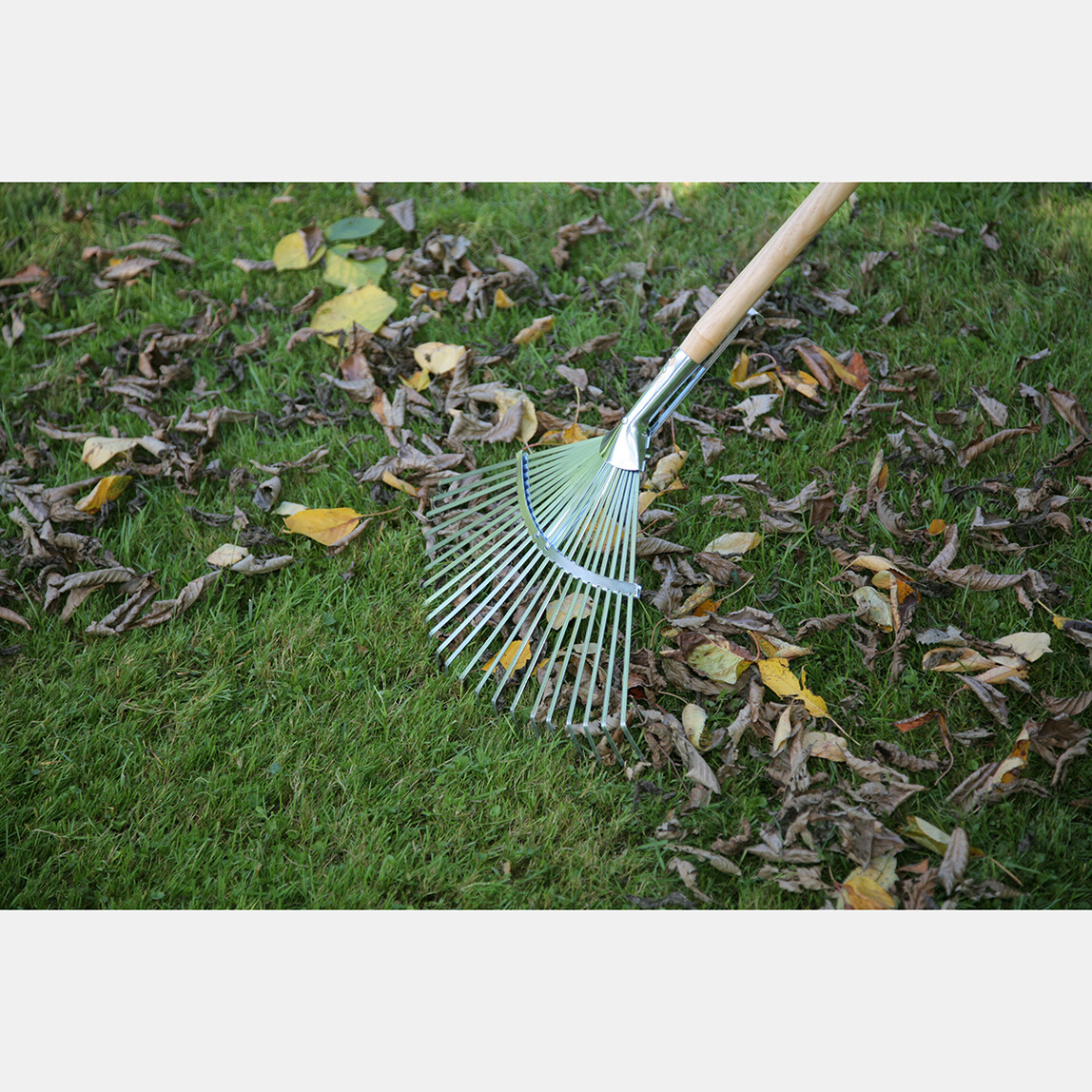    Gardol 98187 Yaprak Toplama   