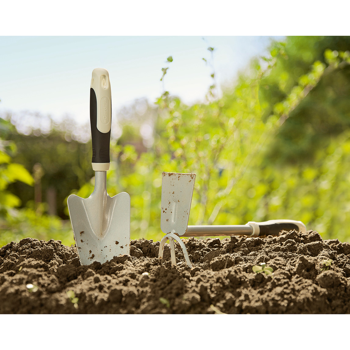    Gardol Çiftli Çapa  