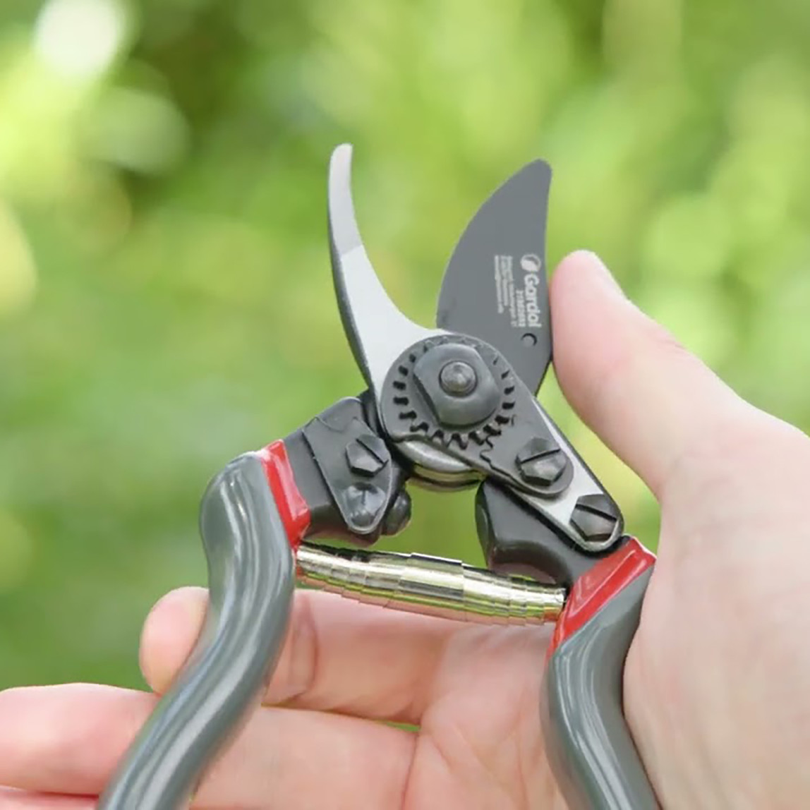    Gardol Premium Budama Makası GDB22 
 