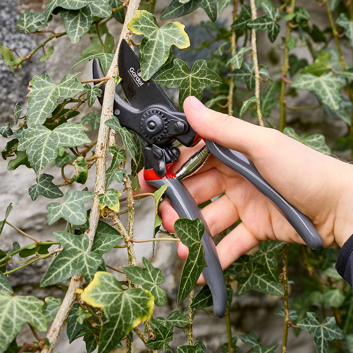    Gardol Premium Budama Makası GDB21 
 