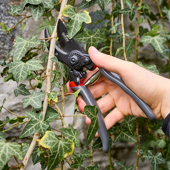 Gardol Premium Budama Makası GDB21 
