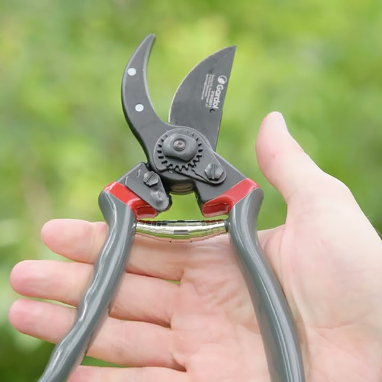 Gardol Premium Budama Makası GDB21 
