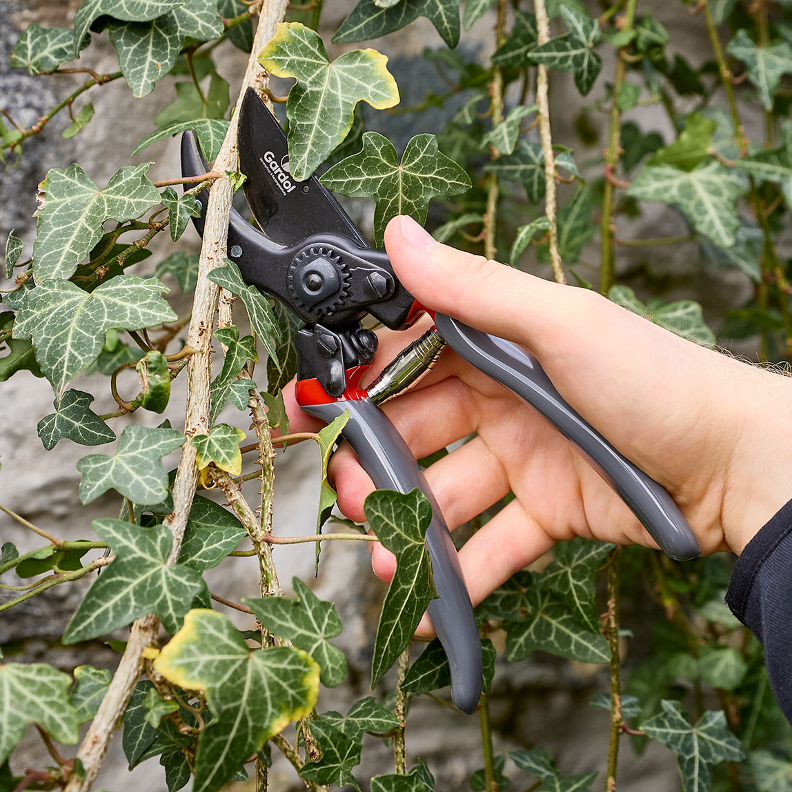    Gardol Premium Budama Makası GDB23L 
 