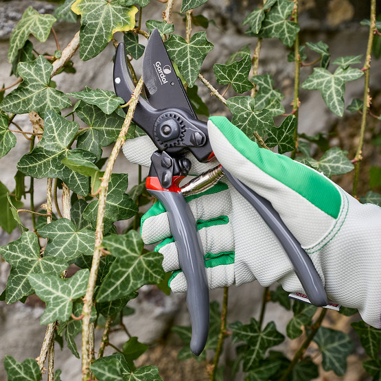 Gardol Premium Budama Makası GDB23L 
