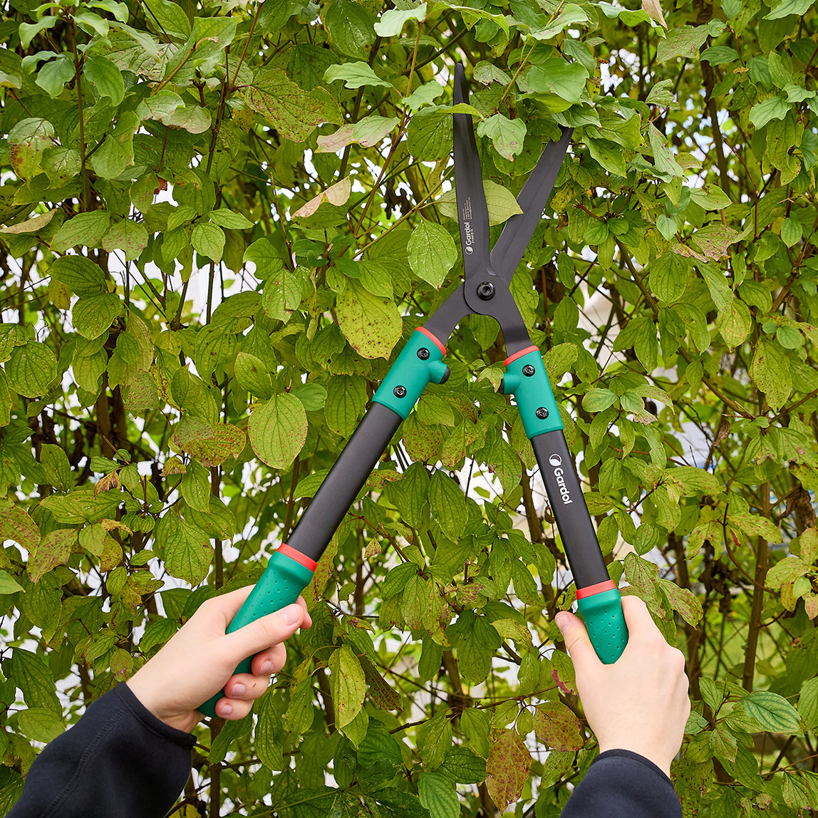    Gardol Klasik Çok Amaçlı Çit Budama Makası GDH61 
 