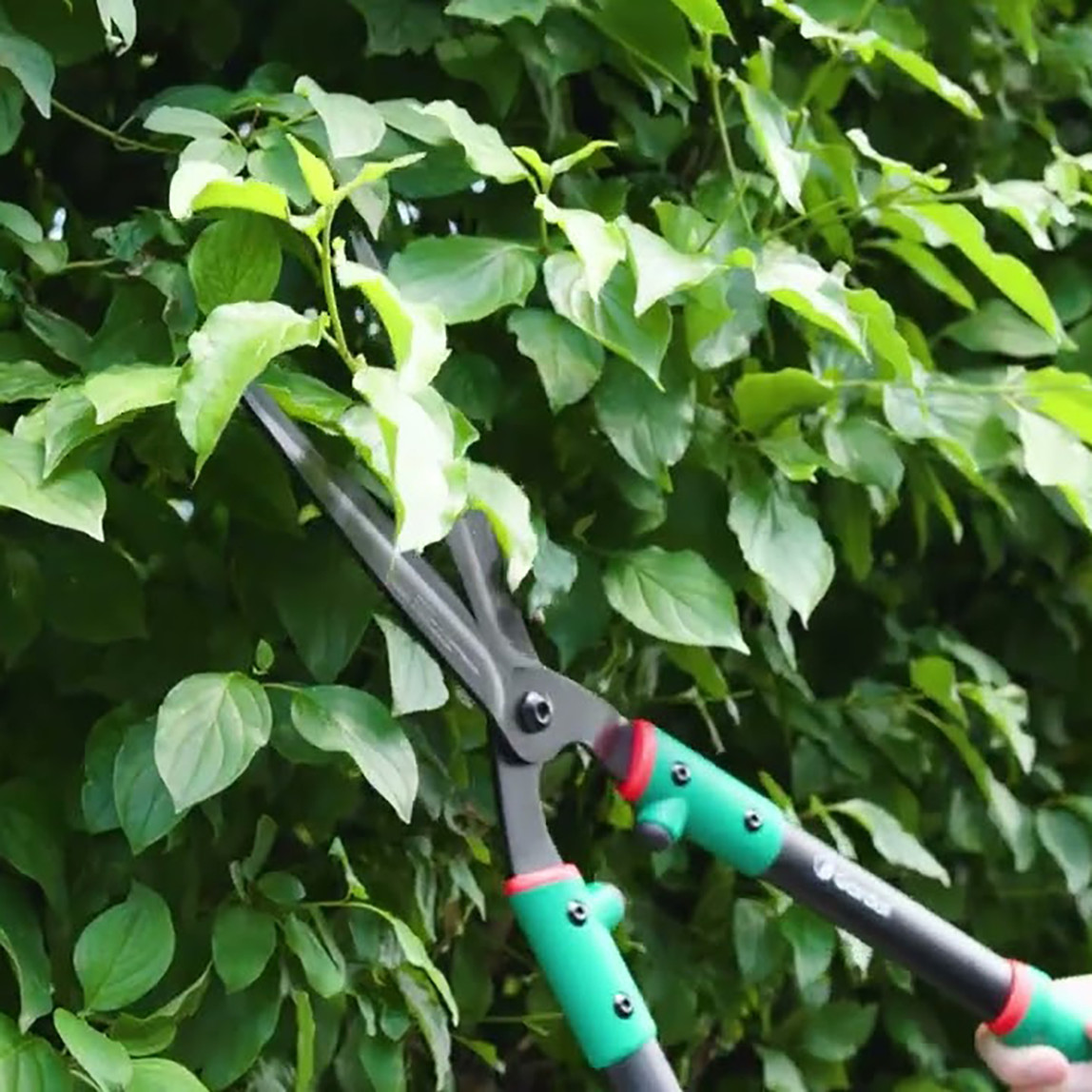    Gardol Klasik Çok Amaçlı Çit Budama Makası GDH61 
 