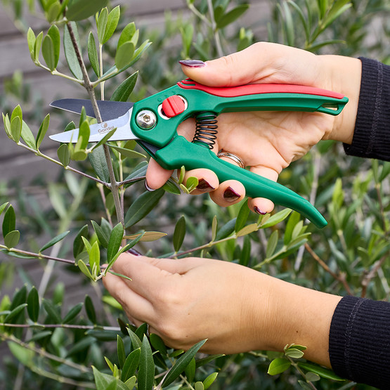 Gardol Klasik Budama Makası GDB10