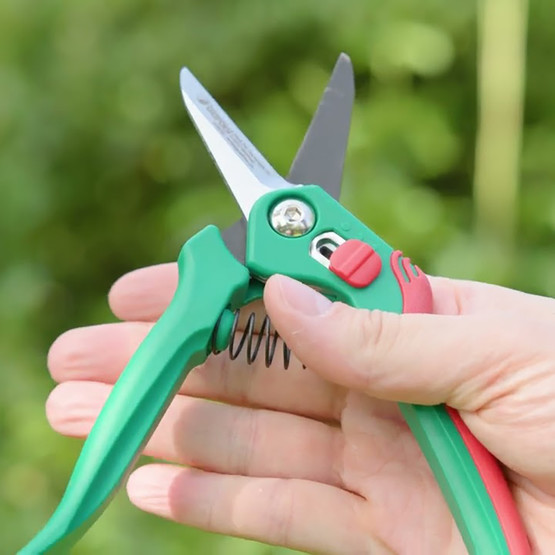 Gardol Klasik Budama Makası GDB10