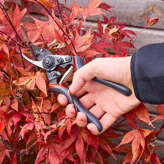 Gardol Premium Budama Makası GDB23L   
