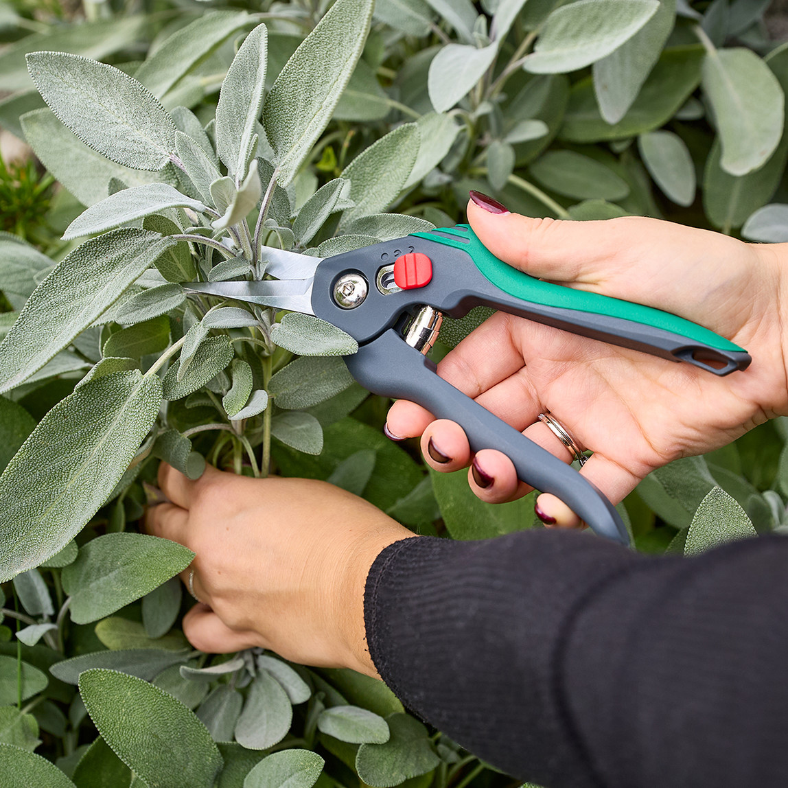    Gardol Comfort Budama Makası GDB12
 