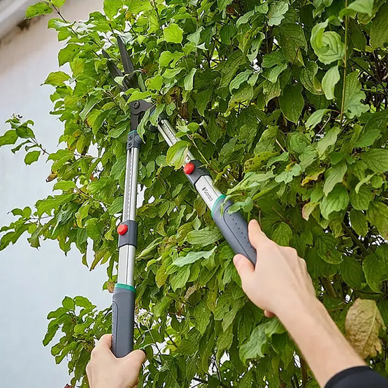 Gardol Premium Manuel Çit Budama Makası GDH655