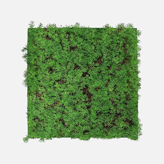 Yapay Bitki Kaplamalı Duvar Paneli Çay Ağacı