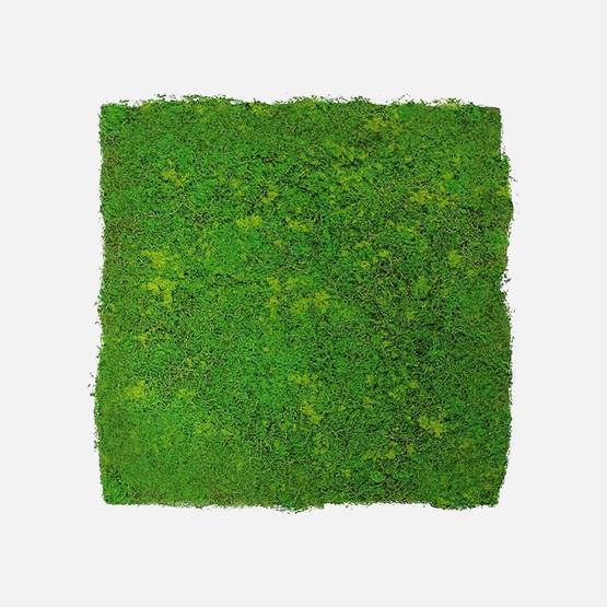 Yapay Bitki Kaplamalı Duvar Paneli Açık Yeşil