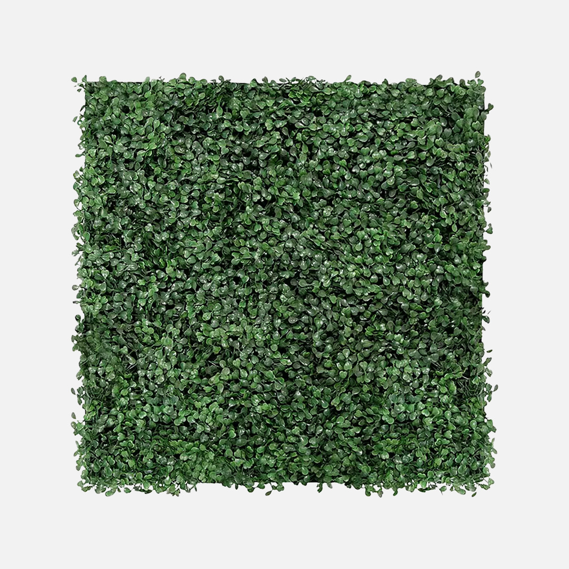    Yapay Bitki Kaplamalı Duvar Paneli Koyu Yeşil 