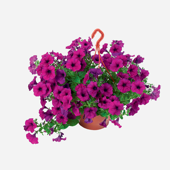 Makrome Mix Çiçeği