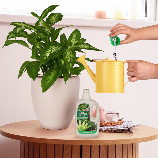 Genta Yeşil Yapraklı Bitkiler İçin Sıvı Besin  500 ml 
