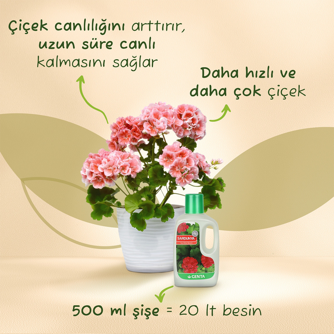    Genta Sardunya için Sıvı Besin 500 ml  