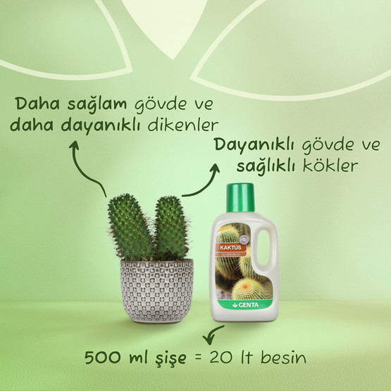 Genta Kaktüs için Sıvı Besin 