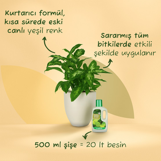 Genta Sararan Yapraklar için Sıvı Besin 
