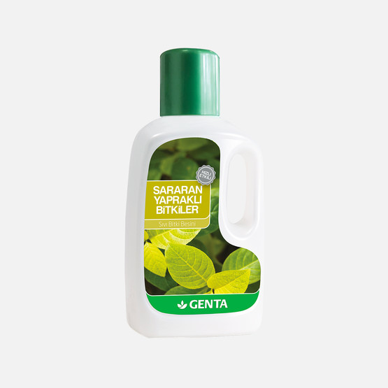 Genta Sararan Yapraklar için Sıvı Besin 