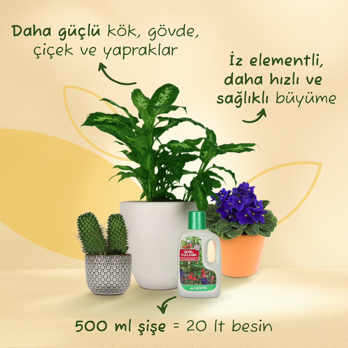    Genta Genel Kullanım Sıvı Besin 500 ml  