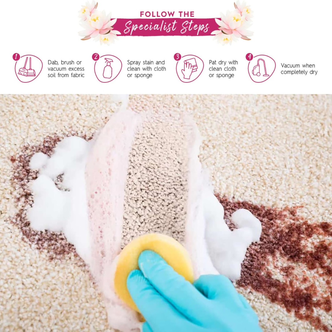    Astonish Halı ve Koltuk Temizleyici 750 ml  