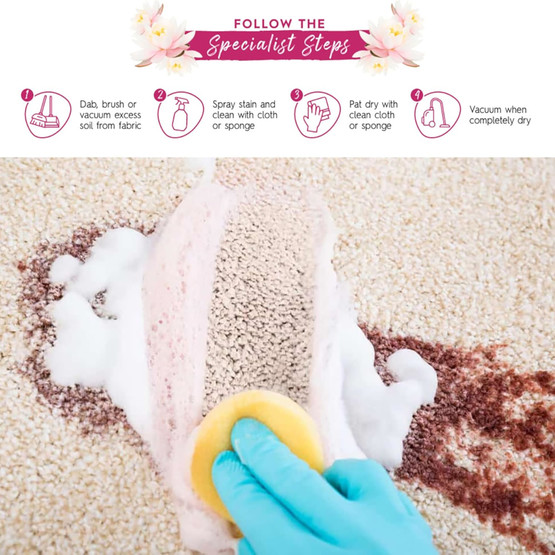 Astonish Halı ve Koltuk Temizleyici 750 ml 