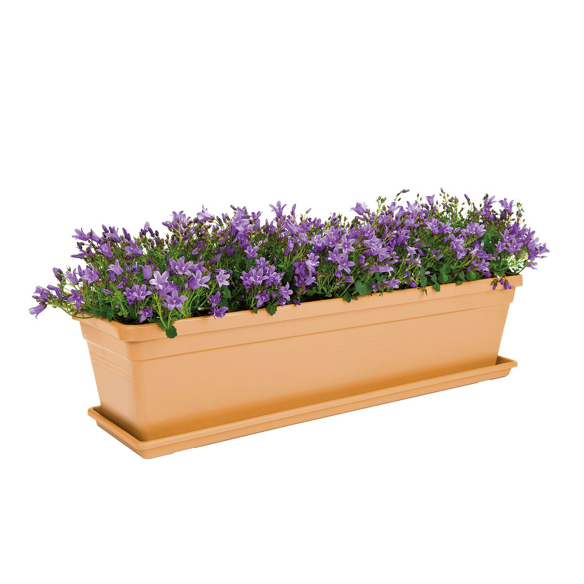    Elho Saksı Altlığı Terra Green Basics  
