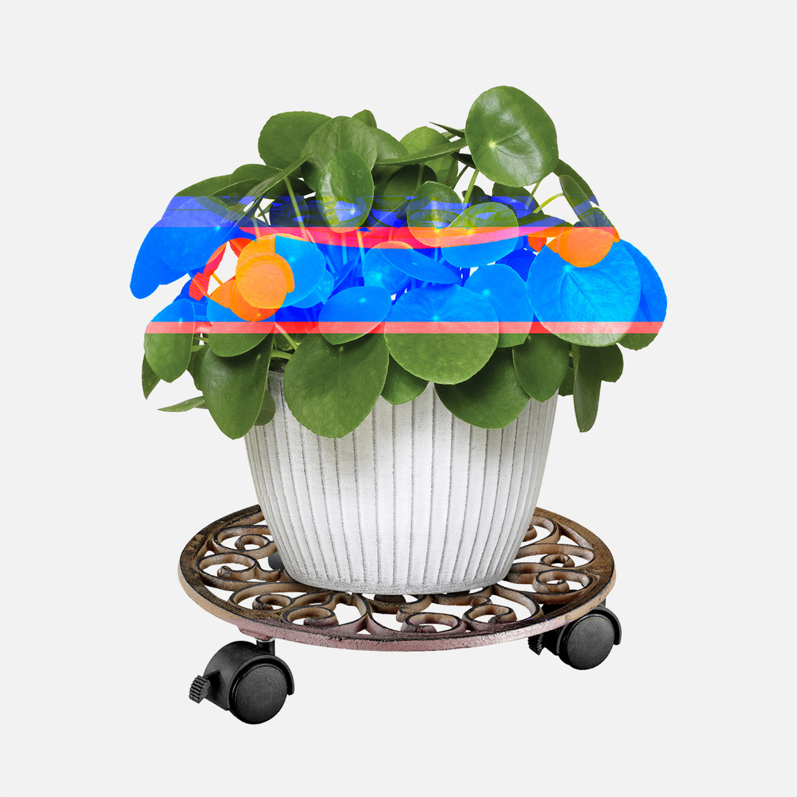    Wagner Ø 29cm Ferforje Tekerlekli Saksı Altlığı Metal  