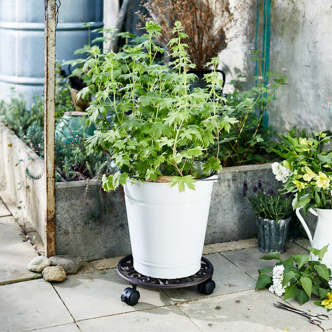    Wagner Ø 29cm Ferforje Tekerlekli Saksı Altlığı Metal  