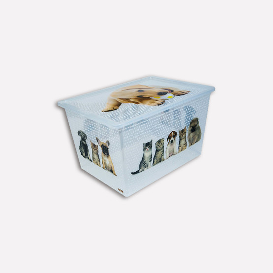 Qutu Kedi Köpek Saklama Kutusu 