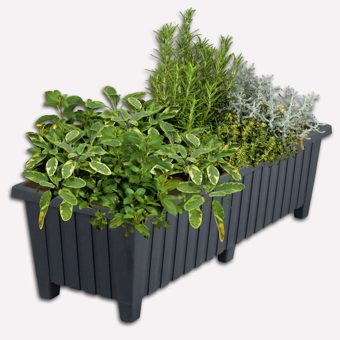    Üçsan Altı Ayaklı Balkon Saksısı 75 cm  