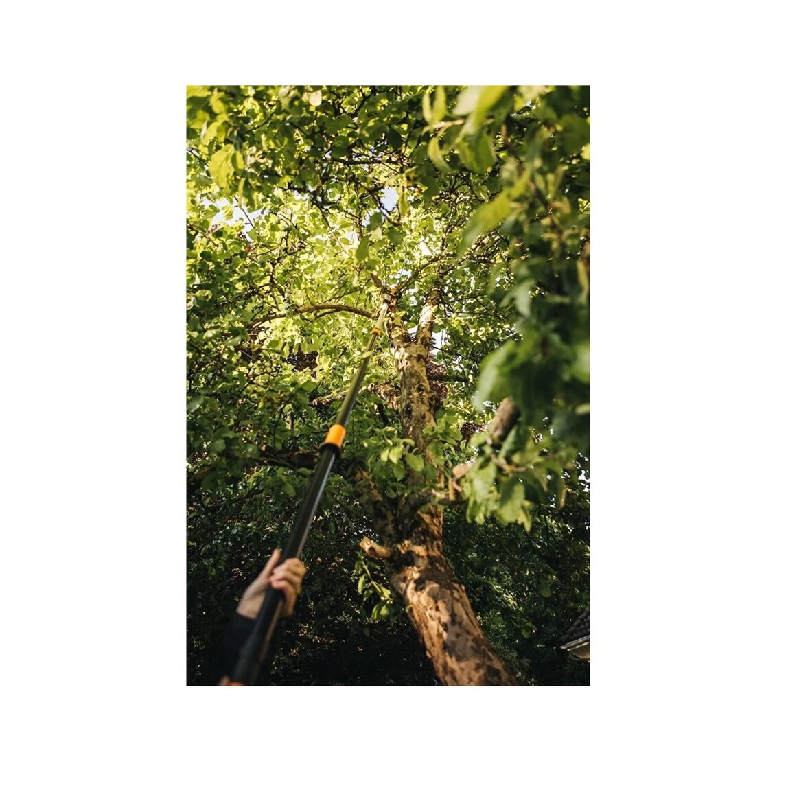    Fiskars 115562A Teleskopik Dal Kesme Makası ve Testere   