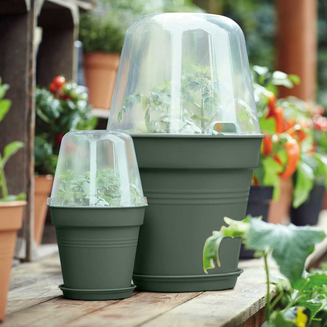    Elho Green Basics Yetiştirme Saksısı Yeşil 27 cm  