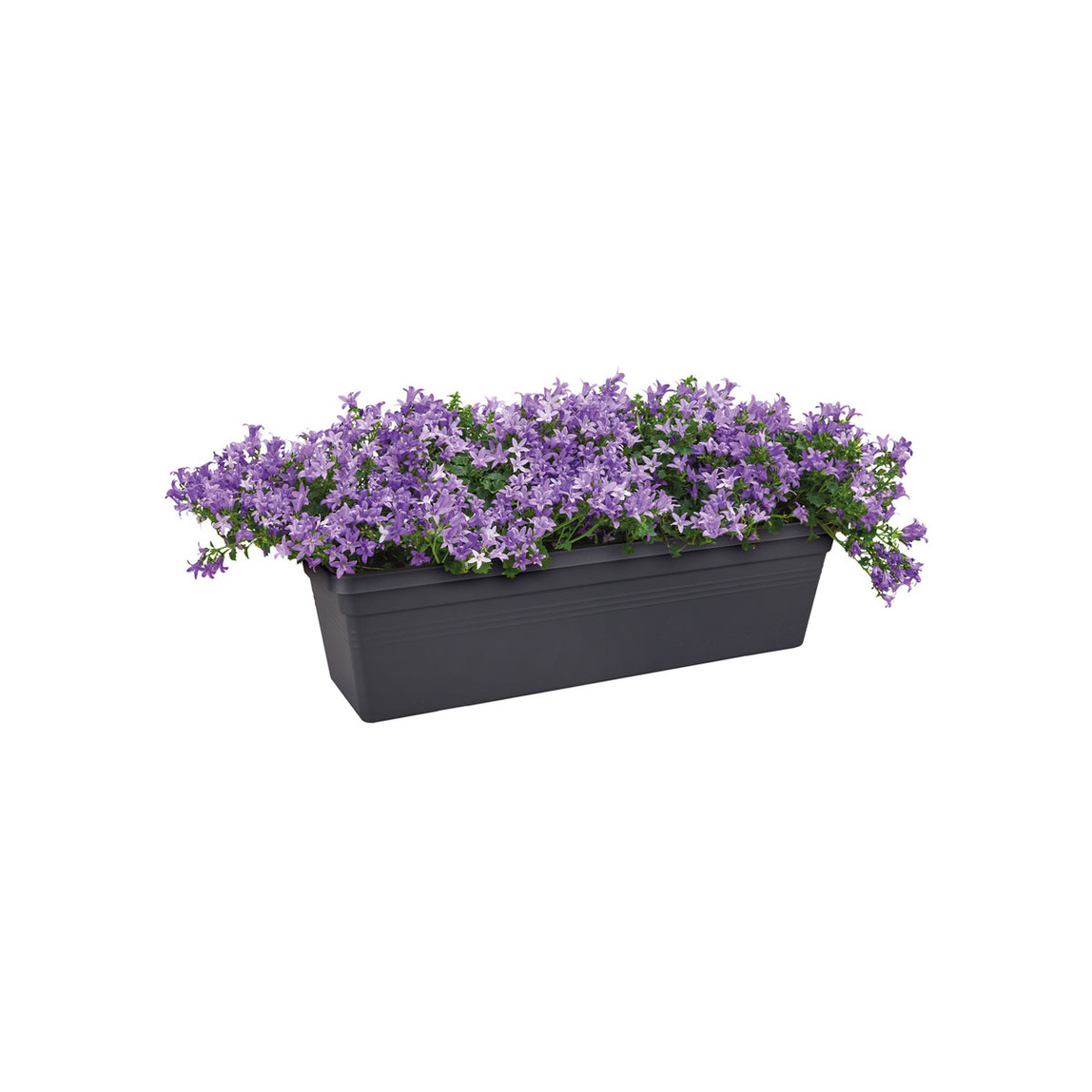    Elho Green Basics Balkon Saksısı Siyah 50 cm  