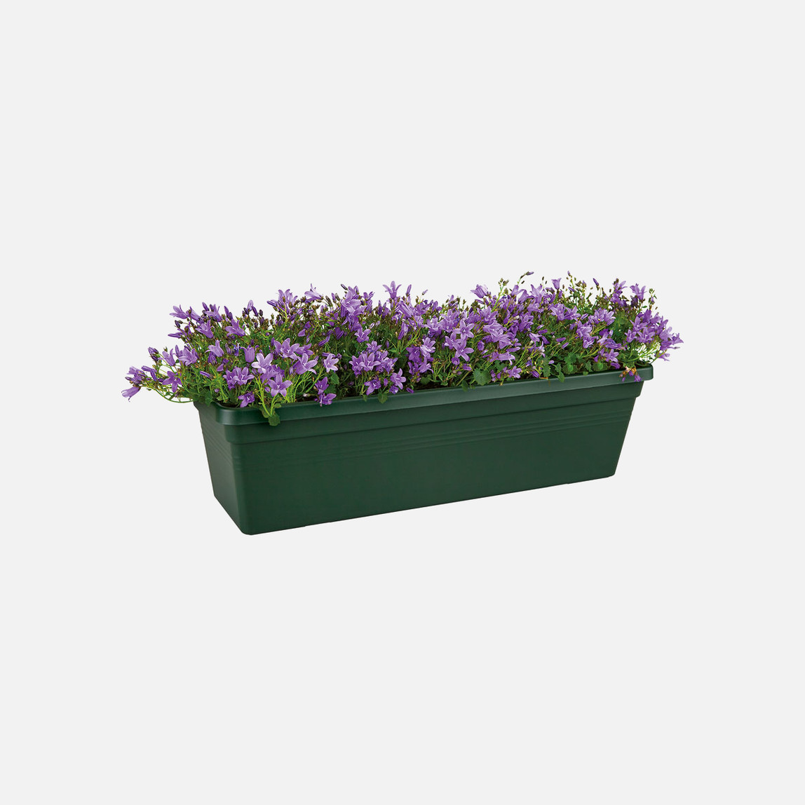   Elho Green Basics Balkon Saksısı Yeşil 50 cm  