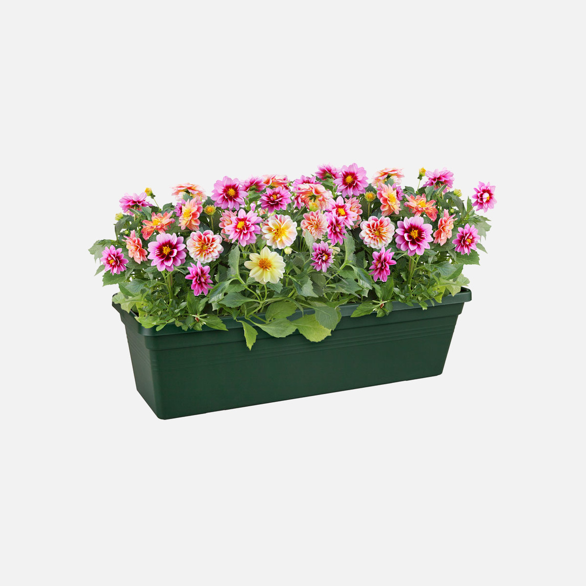    Elho Green Basics Balkon Saksısı Yeşil 50 cm  