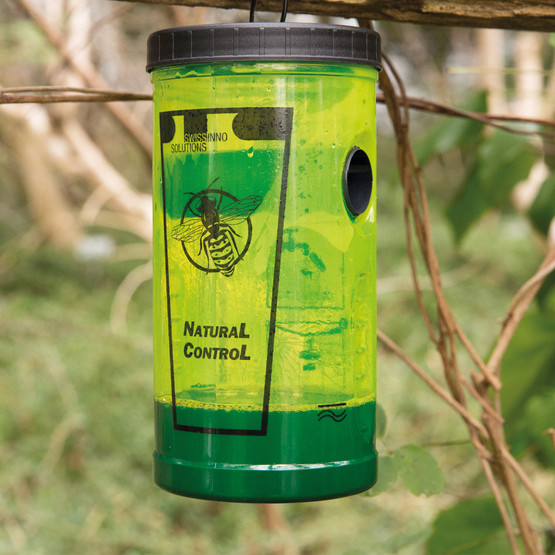 Swissinno Sinek Kapanı 