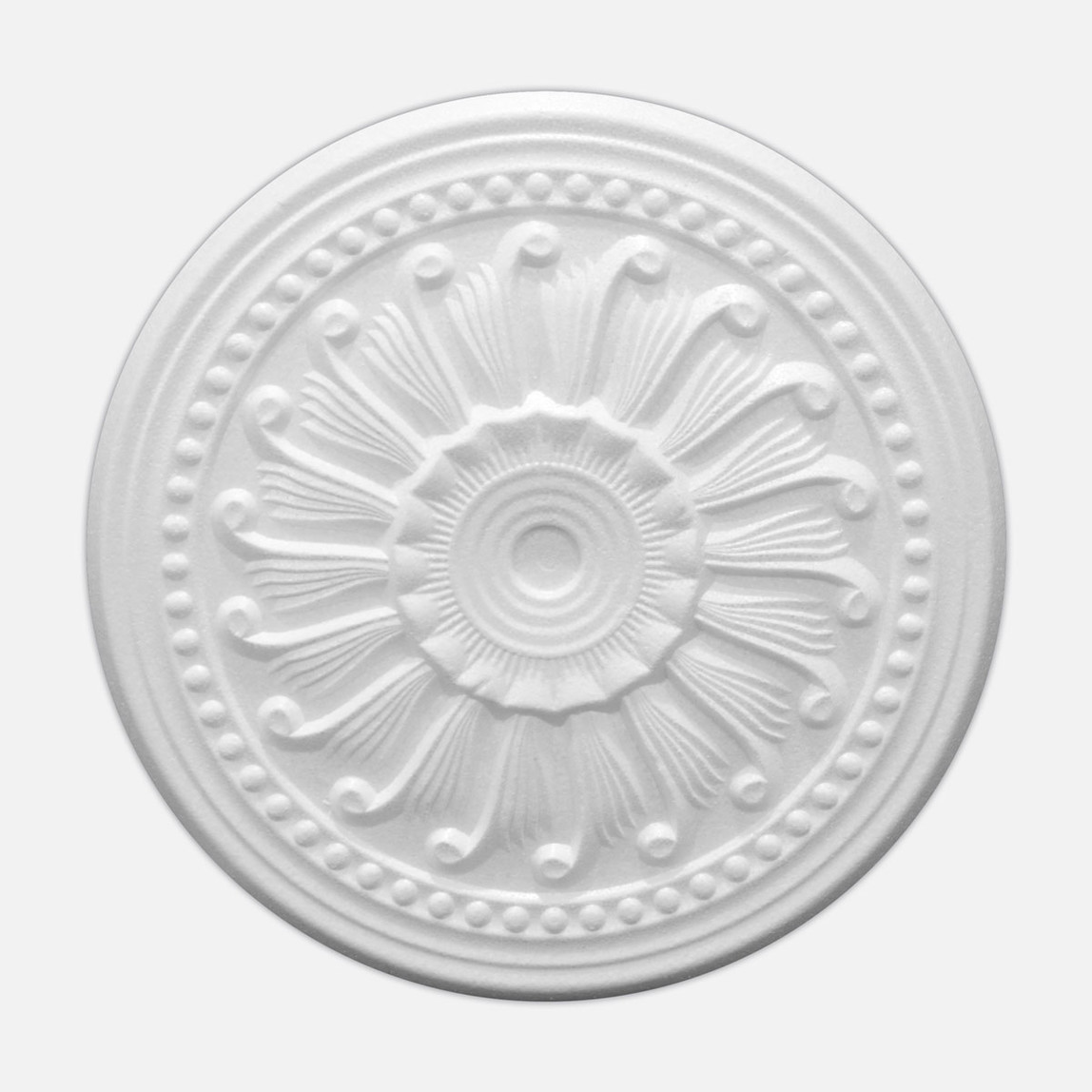    Ankar Tavan Göbeği Salyangoz 