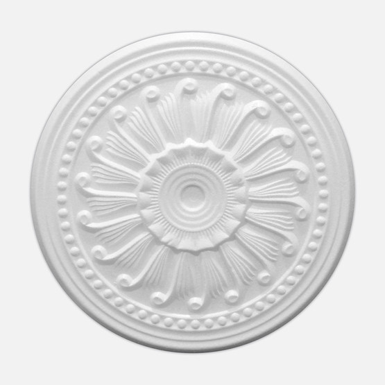 Ankar Tavan Göbeği Salyangoz