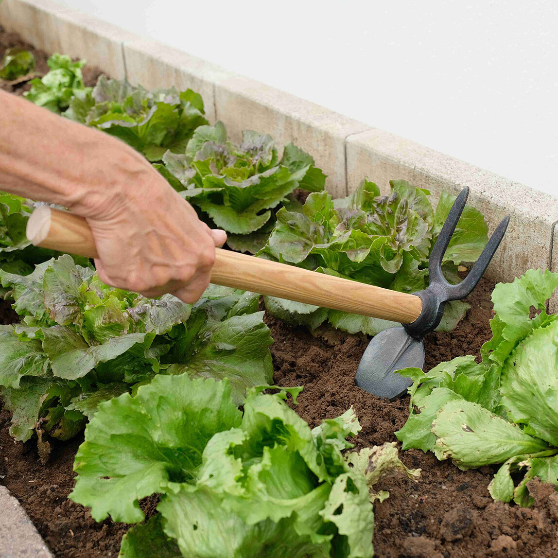    Gardol Küçük El Çapası 45cm  