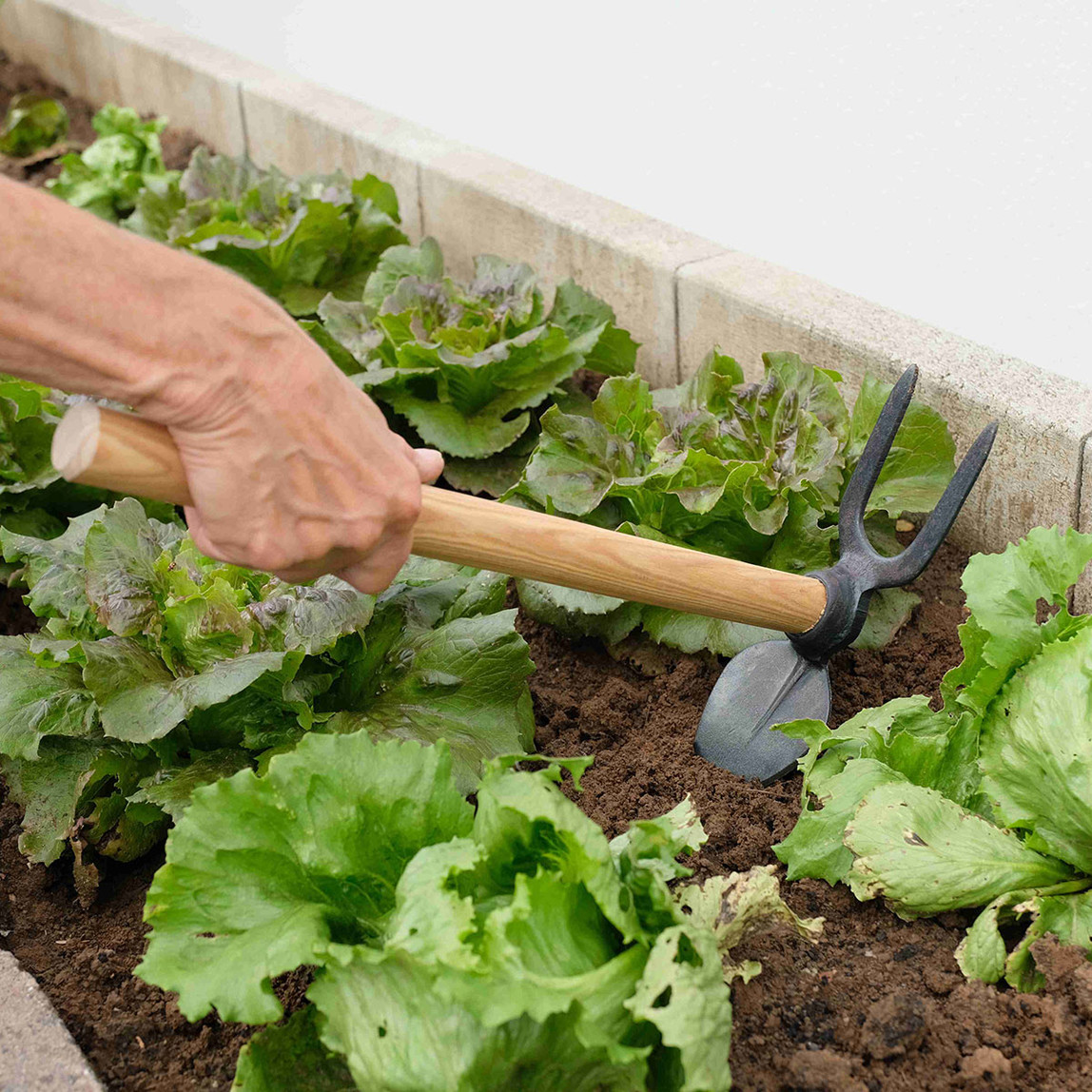    Gardol Küçük El Çapası 45cm  