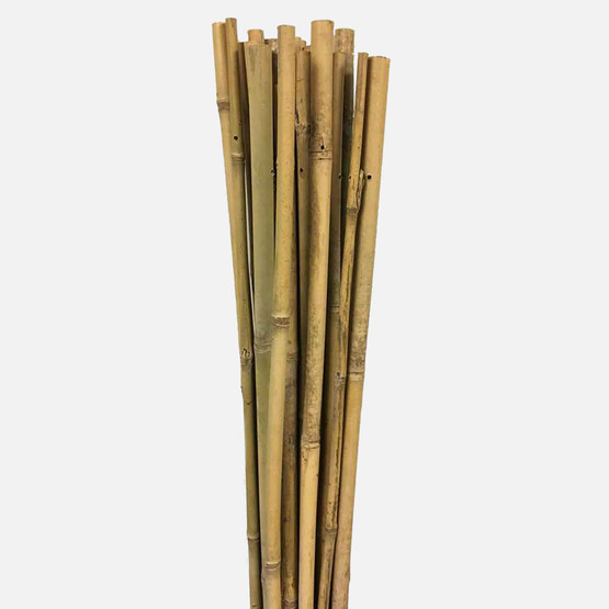 Gardener Bambu Bitki Destek Çubuğu 150 cm 