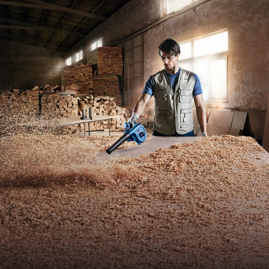 Bosch Profesyonel GBL-800E CE Üfleyici 