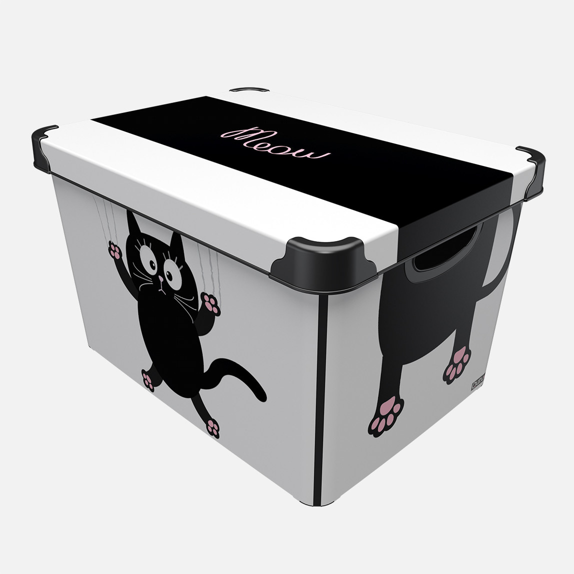    Qutu Style Box Meow Cat   
