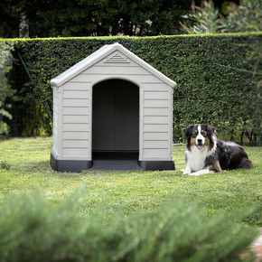 Keter Köpek Kulübesi