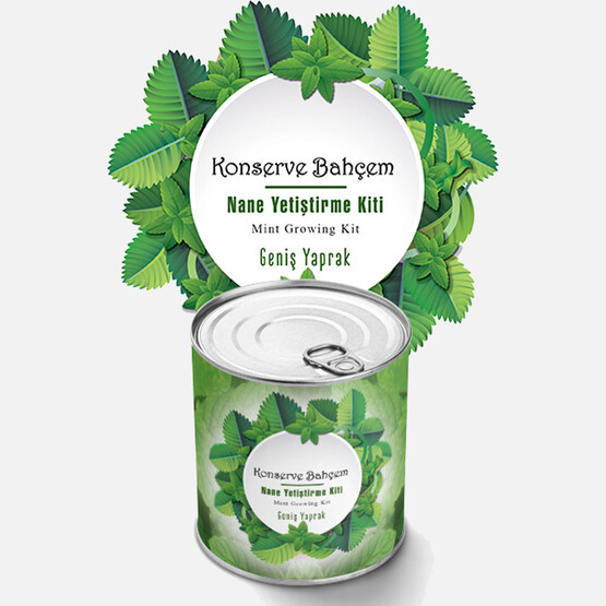 Konserve Bahçem Nane Fide Yetiştirme Kiti 